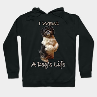 Begging Shih Tzu PuppyT-Shirt mug coffee mug apparel hoodie sticker gift I want a dog's life Hoodie